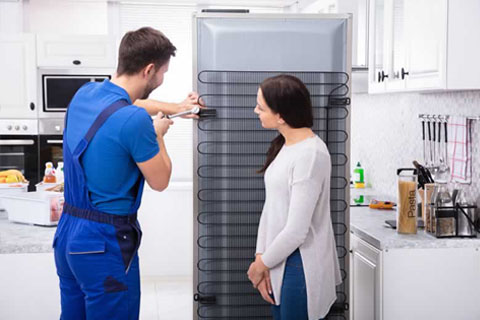 refrigerator technician is explaining the issue to a client